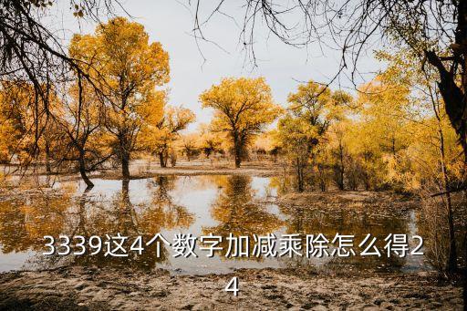 3339這4個數(shù)字加減乘除怎么得24