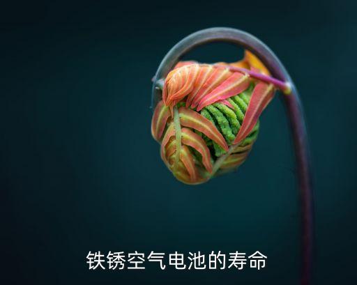 鐵銹空氣電池的壽命