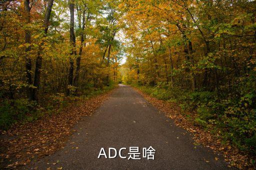 ADC是啥