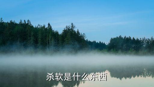 殺軟是什么東西