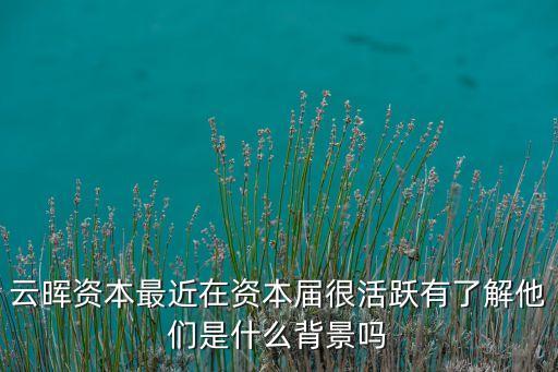 云暉資本，云暉資本最近在資本屆很活躍有了解他們是什么背景嗎