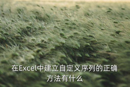 在Excel中建立自定義序列的正確方法有什么