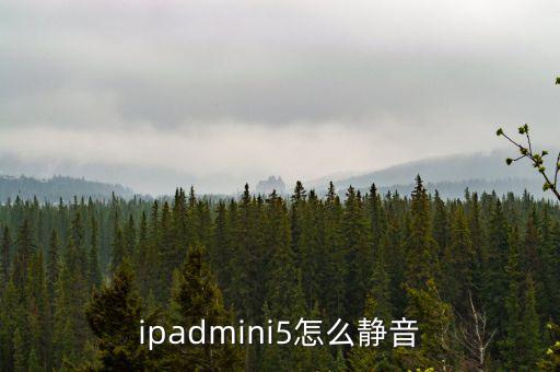 ipadmini5怎么靜音