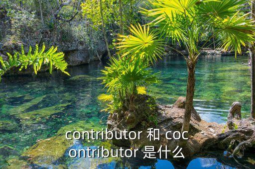 contributor 和 cocontributor 是什么