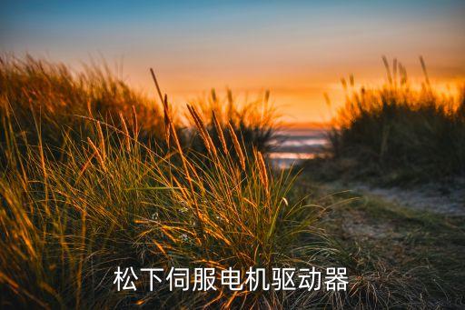 松下伺服電機(jī)驅(qū)動器