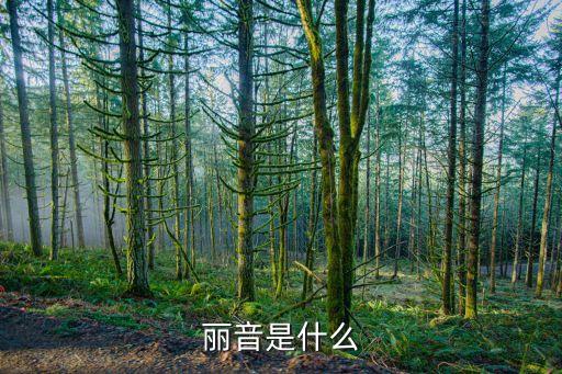 麗音，什么是聯(lián)通麗音業(yè)務(wù)