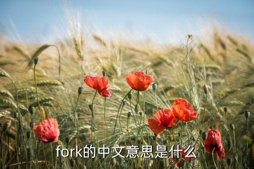 fork，fork的意思是什么