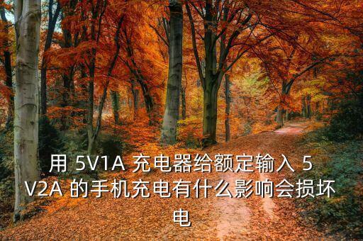 用 5V1A 充電器給額定輸入 5V2A 的手機(jī)充電有什么影響會(huì)損壞電