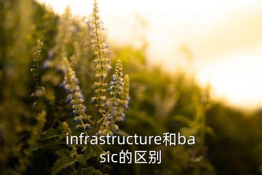 infrastructure和basic的區(qū)別