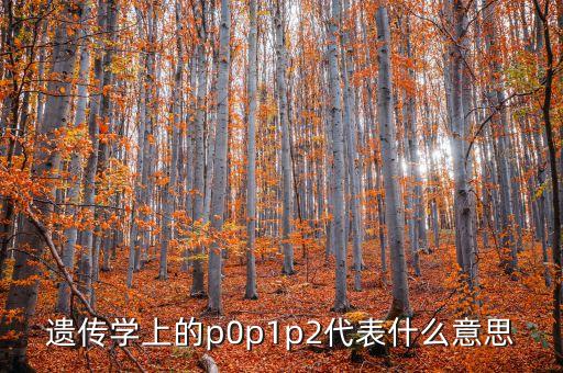 p0，P0是什么材料