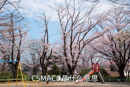 CSMACD是什么意思