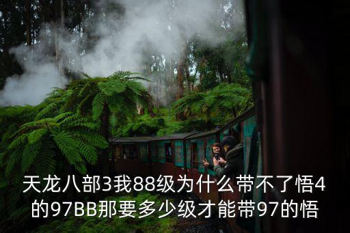 天龍八部3我88級(jí)為什么帶不了悟4的97BB那要多少級(jí)才能帶97的悟
