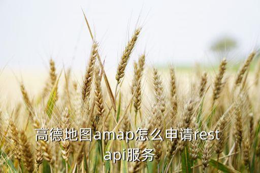restapi，高德地圖amap怎么申請rest api服務(wù)