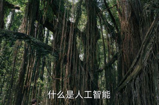 什么是人工智能