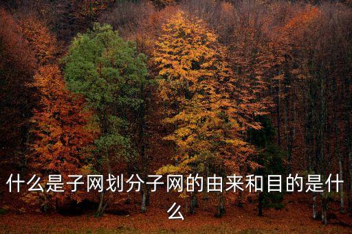 子網(wǎng)，什么是子網(wǎng)劃分子網(wǎng)的由來(lái)和目的是什么