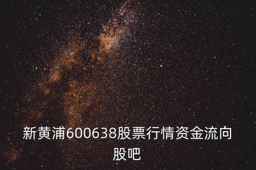 新黃浦600638股票行情資金流向股吧