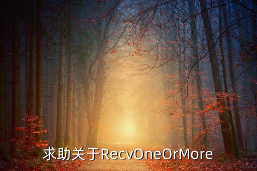 求助關(guān)于RecvOneOrMore