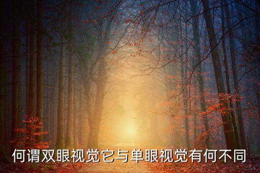 何謂雙眼視覺它與單眼視覺有何不同