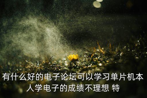 有什么好的電子論壇可以學(xué)習(xí)單片機本人學(xué)電子的成績不理想 特
