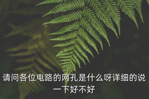 請問各位電路的網(wǎng)孔是什么呀詳細的說一下好不好