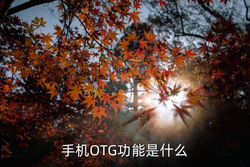 otg功能是什么意思，OTG什么意思