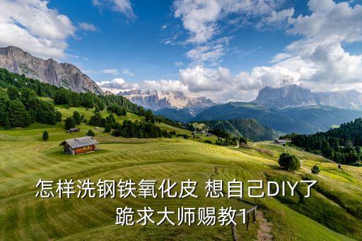 怎樣洗鋼鐵氧化皮 想自己DIY了 跪求大師賜教1