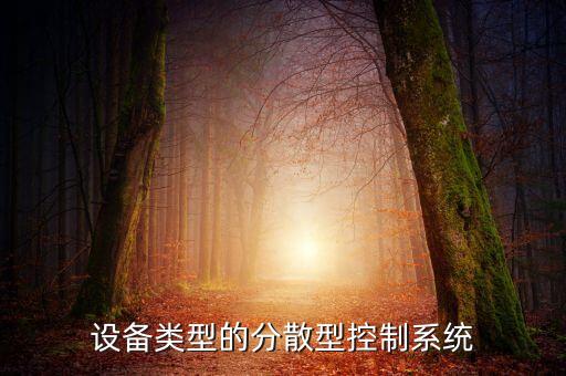 設(shè)備類(lèi)型的分散型控制系統(tǒng)
