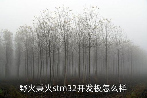 野火秉火stm32開發(fā)板怎么樣