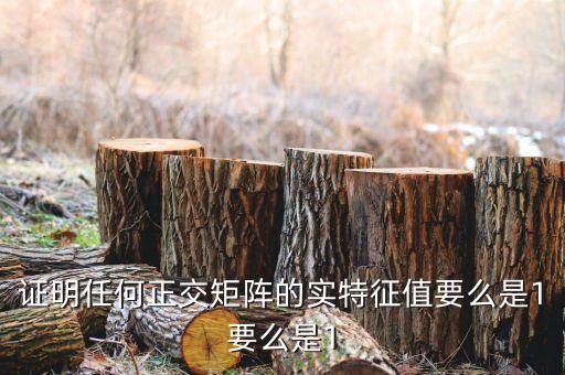 證明任何正交矩陣的實(shí)特征值要么是1要么是1