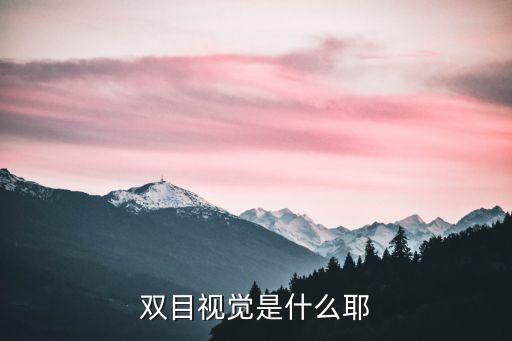 雙目視覺，雙眼視覺的檢查和診斷