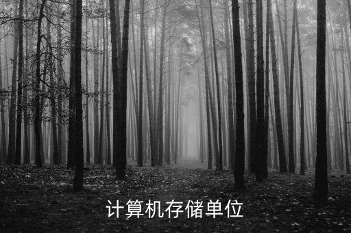 計(jì)算機(jī)存儲(chǔ)單位