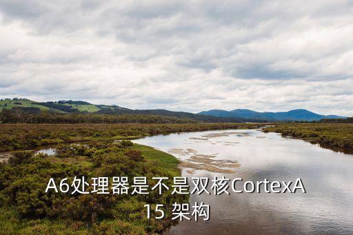A6處理器是不是雙核CortexA15 架構(gòu)
