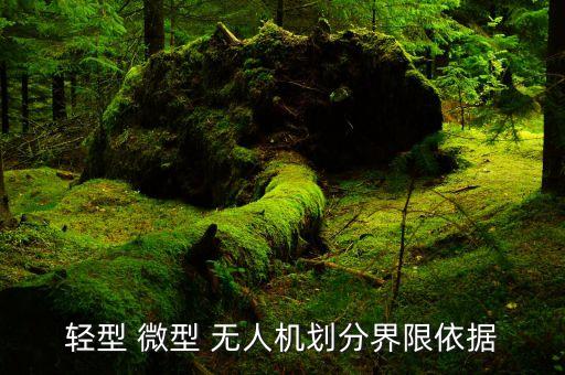 輕型 微型 無(wú)人機(jī)劃分界限依據(jù)