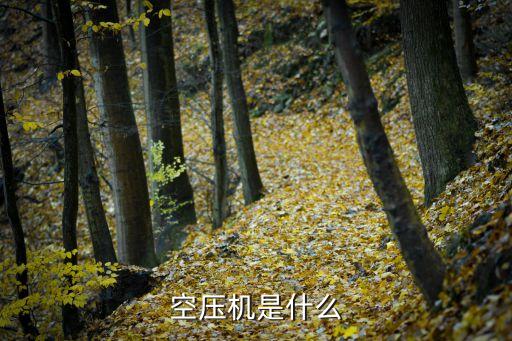空壓機是什么
