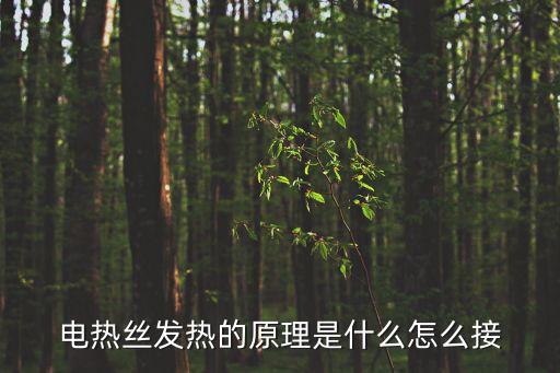 電熱絲發(fā)熱的原理是什么怎么接