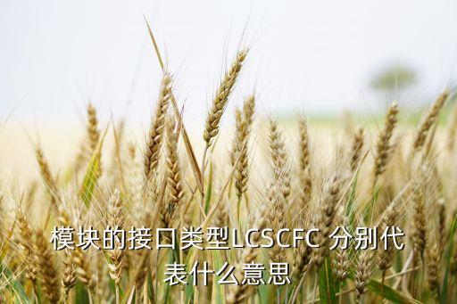 模塊的接口類型LCSCFC 分別代表什么意思