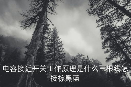 電容接近開關(guān)工作原理是什么三根線怎接棕黑藍