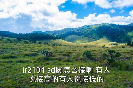 ir2104，ir2104 sd腳怎么接啊 有人說接高的有人說接低的