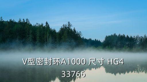 v型密封圈，V型密封環(huán)A1000 尺寸 HG433766