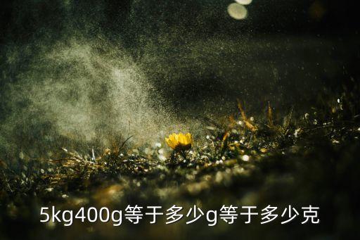 5kg400g等于多少g等于多少克