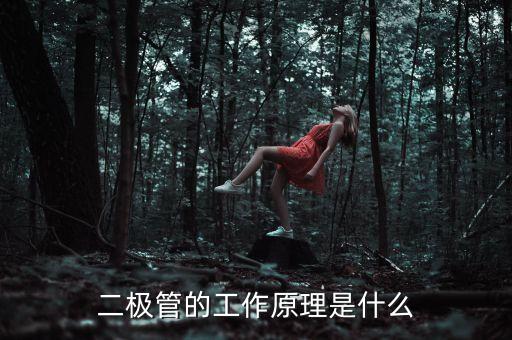 二極管的工作原理是什么