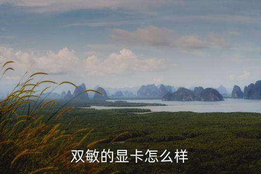 雙敏的顯卡怎么樣