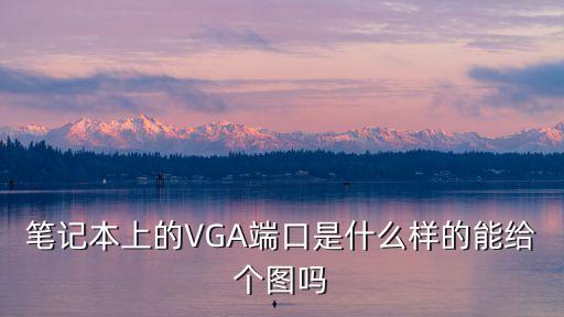 筆記本上的VGA端口是什么樣的能給個圖嗎