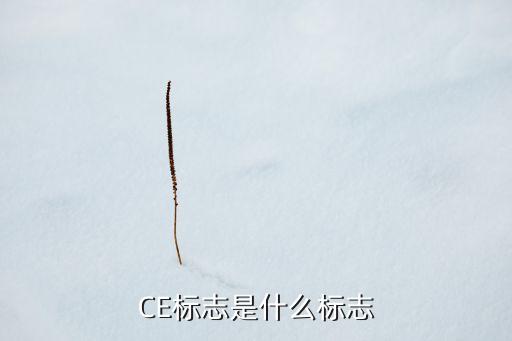 CE標(biāo)志是什么標(biāo)志