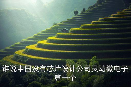 靈動微，誰說中國沒有芯片設計公司靈動微電子算一個