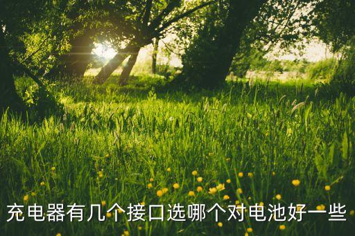 充電接口，充電器有幾個(gè)接口選哪個(gè)對(duì)電池好一些