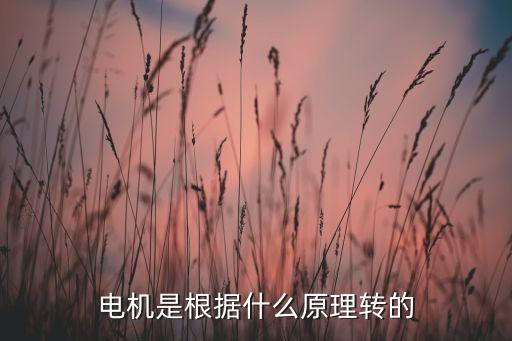 電機(jī)原理，電機(jī)原理
