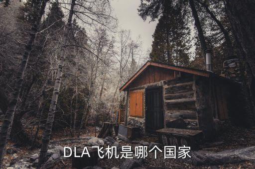DLA飛機(jī)是哪個(gè)國家
