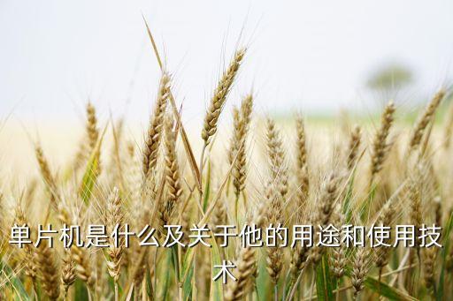 單片機(jī)的作用，單片機(jī)是什么及關(guān)于他的用途和使用技術(shù)