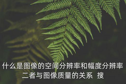 什么是圖像的空間分辨率和幅度分辨率二者與圖像質(zhì)量的關(guān)系  搜